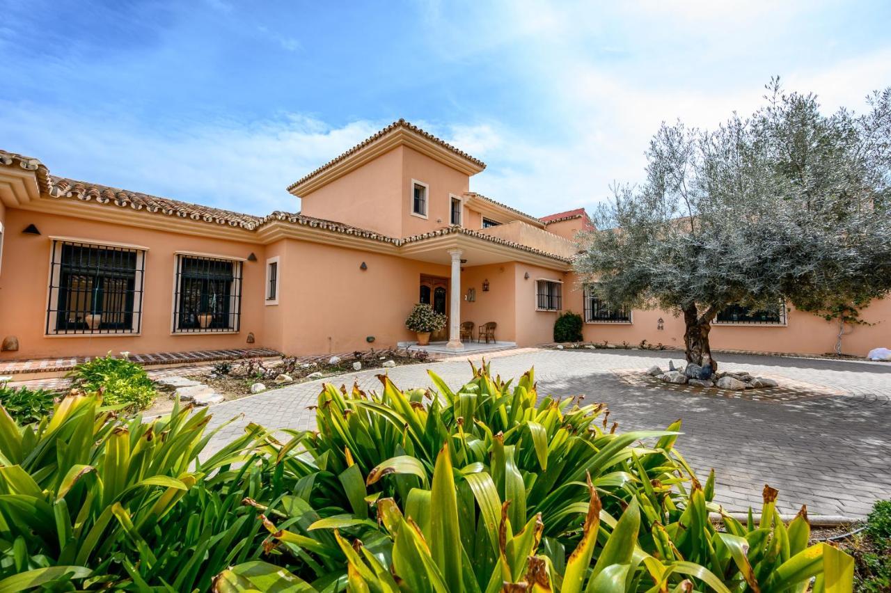 Villa Saguaro Malaga Alhaurín de la Torre Eksteriør billede